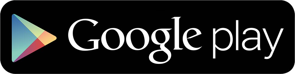 Enter Google Store